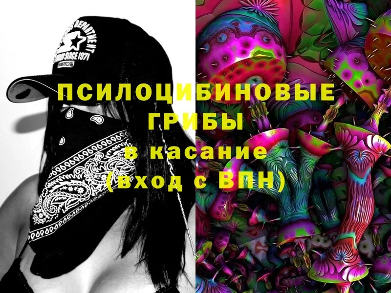 купить   Давлеканово  mega как войти  Псилоцибиновые грибы MAGIC MUSHROOMS 